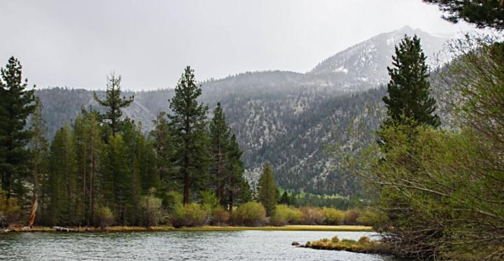 June Lake Motel Экстерьер фото